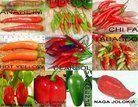 Variedades de pimentas