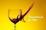 Harmonização de vinhos: saiba como fazer isso sem segredos