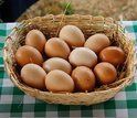 Como identificar ovos frescos