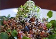 Salada de Quinoa com Berinjela