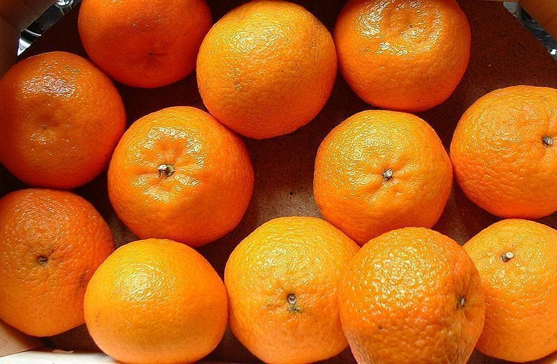  Funcionalidades da tangerina: conheça e aproveite
